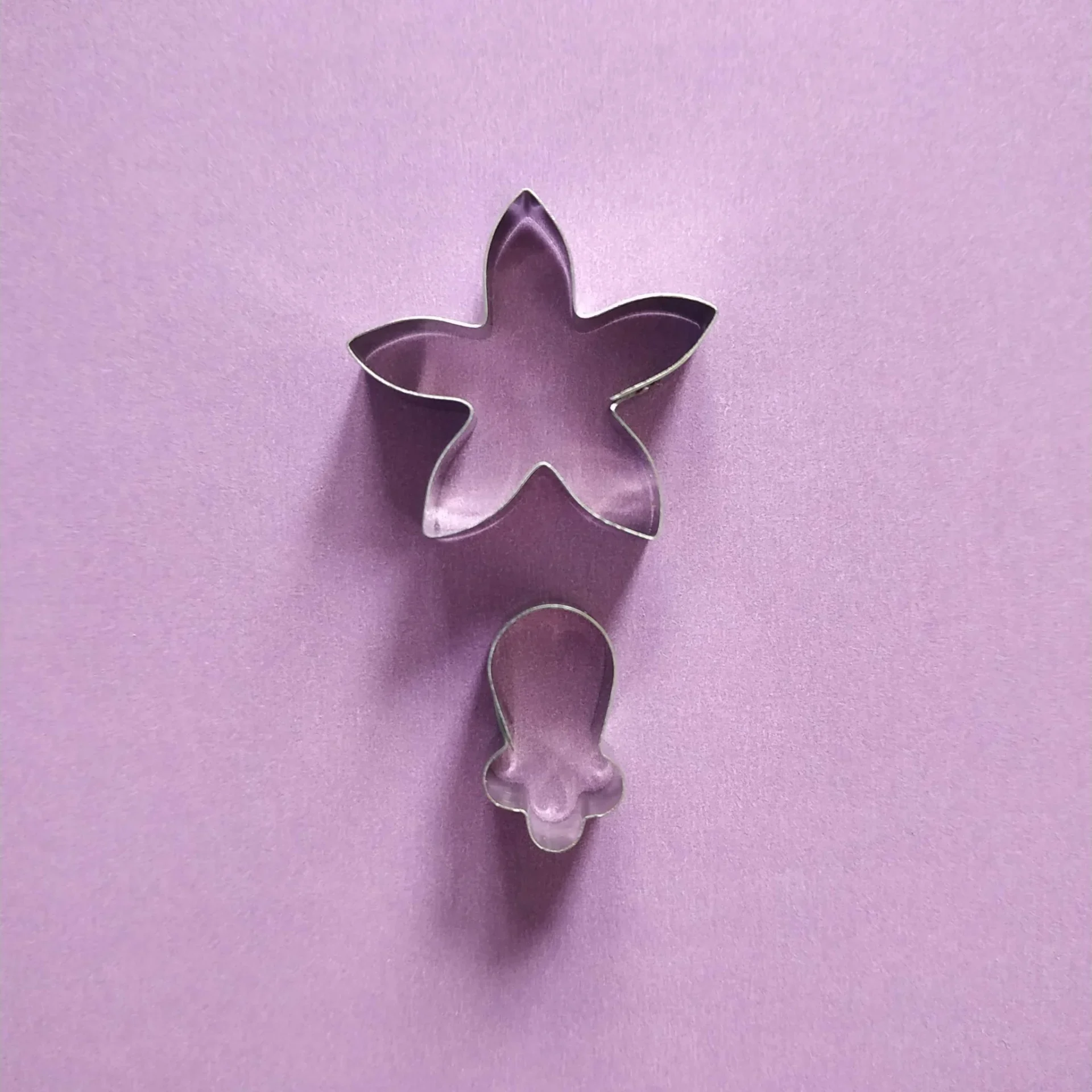 Mini Cymbidium Orchid Cutter