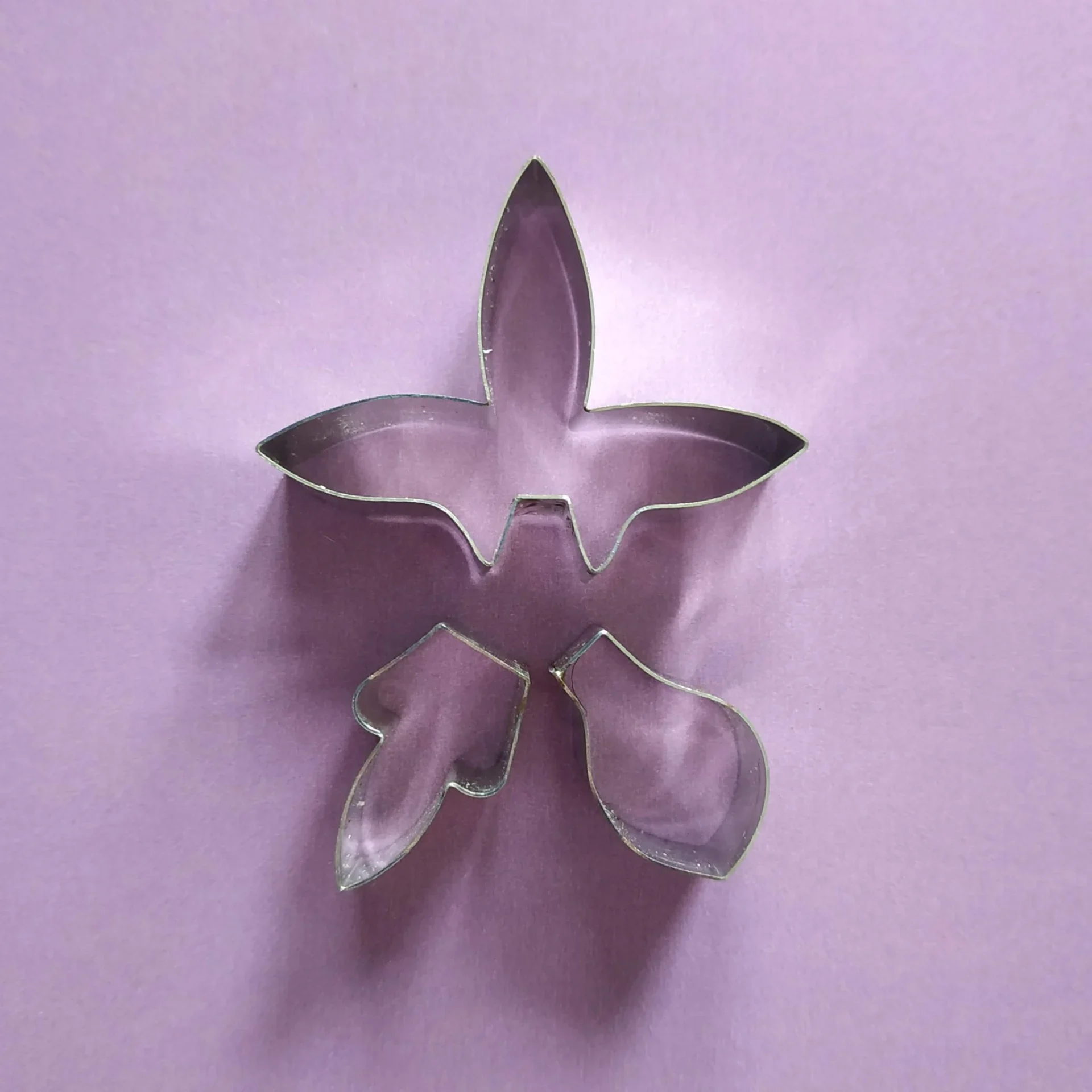 Dendrobium Orchid Cutter