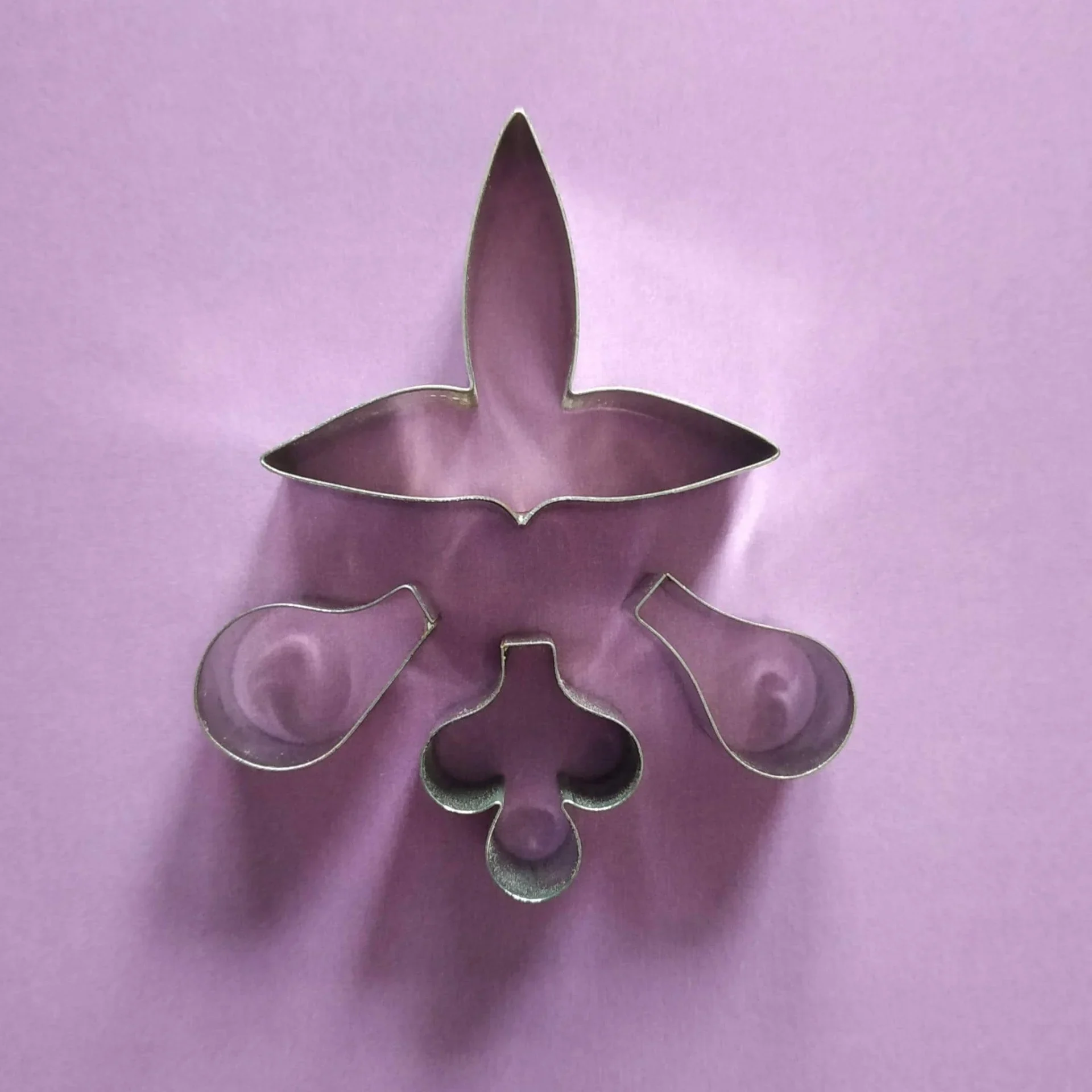 Dendrobium Orchid Cutter (TT)