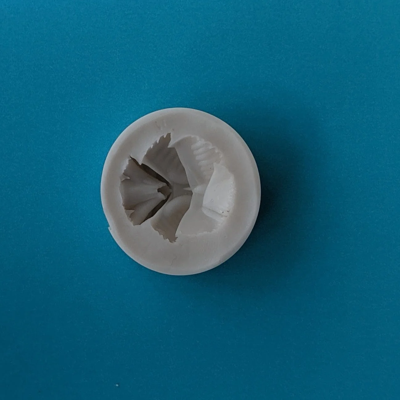 Small Pansy Mould