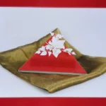 White Poinsettia